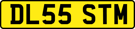DL55STM