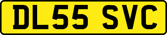 DL55SVC