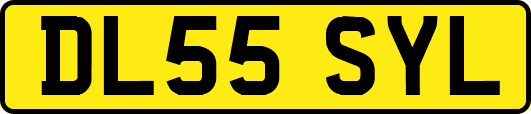 DL55SYL