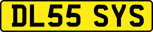 DL55SYS