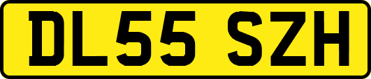 DL55SZH
