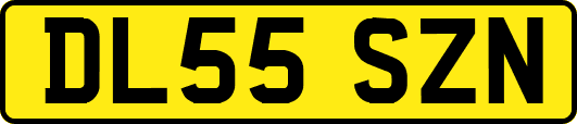 DL55SZN