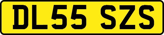 DL55SZS