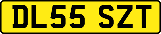 DL55SZT