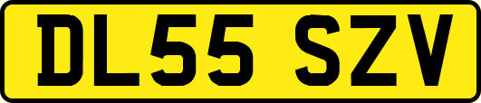 DL55SZV