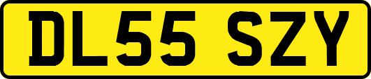 DL55SZY