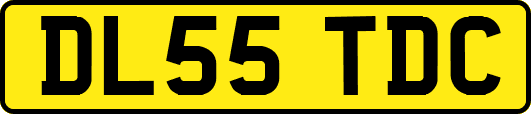 DL55TDC