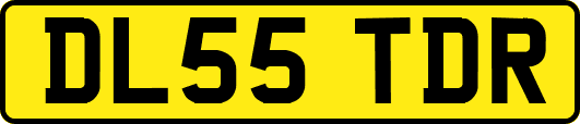 DL55TDR