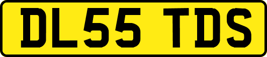 DL55TDS