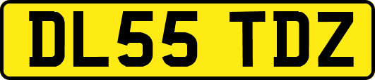DL55TDZ