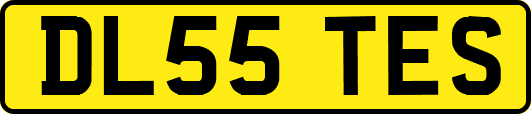 DL55TES