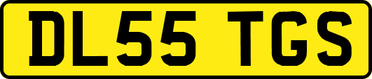 DL55TGS
