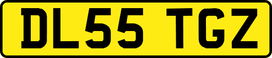 DL55TGZ