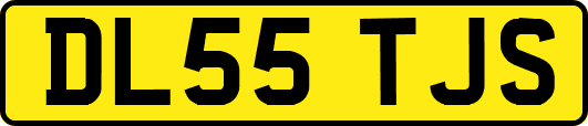 DL55TJS
