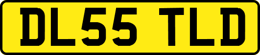 DL55TLD
