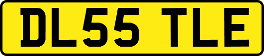 DL55TLE