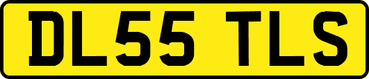 DL55TLS
