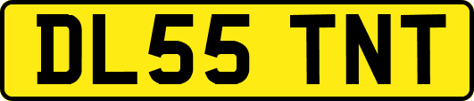 DL55TNT