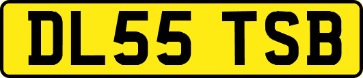 DL55TSB