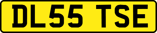 DL55TSE