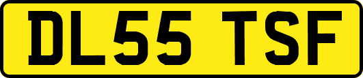 DL55TSF