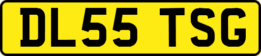 DL55TSG