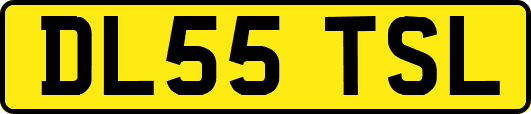 DL55TSL