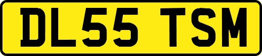 DL55TSM
