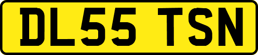 DL55TSN