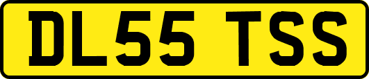 DL55TSS