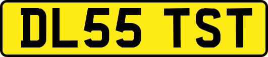 DL55TST
