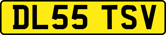 DL55TSV