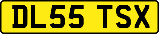 DL55TSX