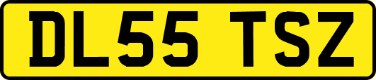 DL55TSZ