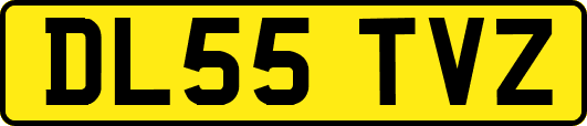 DL55TVZ