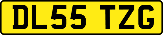 DL55TZG