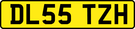 DL55TZH