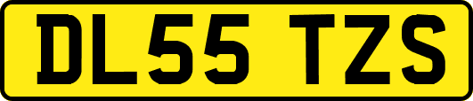 DL55TZS