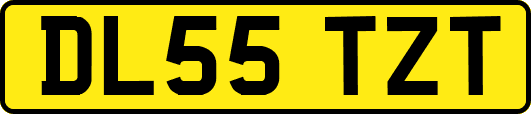 DL55TZT