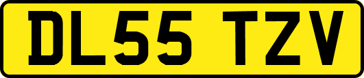 DL55TZV