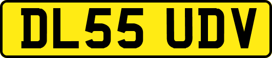 DL55UDV