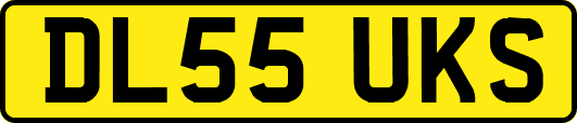 DL55UKS