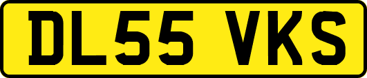 DL55VKS