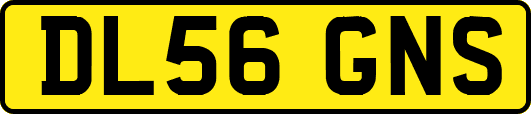 DL56GNS
