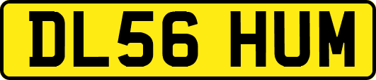 DL56HUM