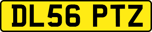 DL56PTZ