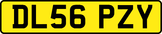 DL56PZY