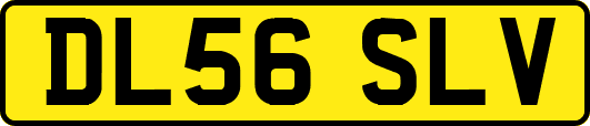 DL56SLV