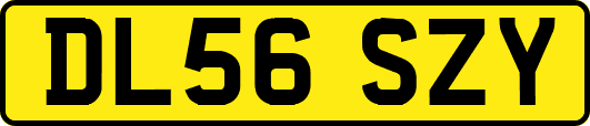 DL56SZY
