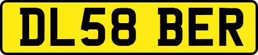 DL58BER